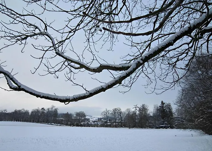 Unique Innere Enge 4* Βέρνη
